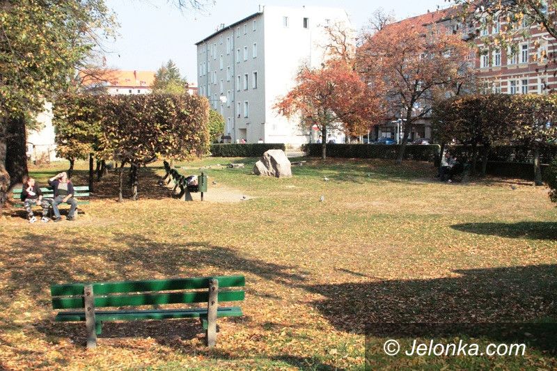 Jelenia Góra: Awantura o drzewa