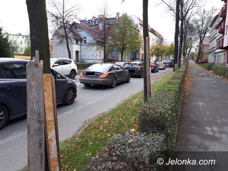 Jelenia Góra: Deski dla ochrony