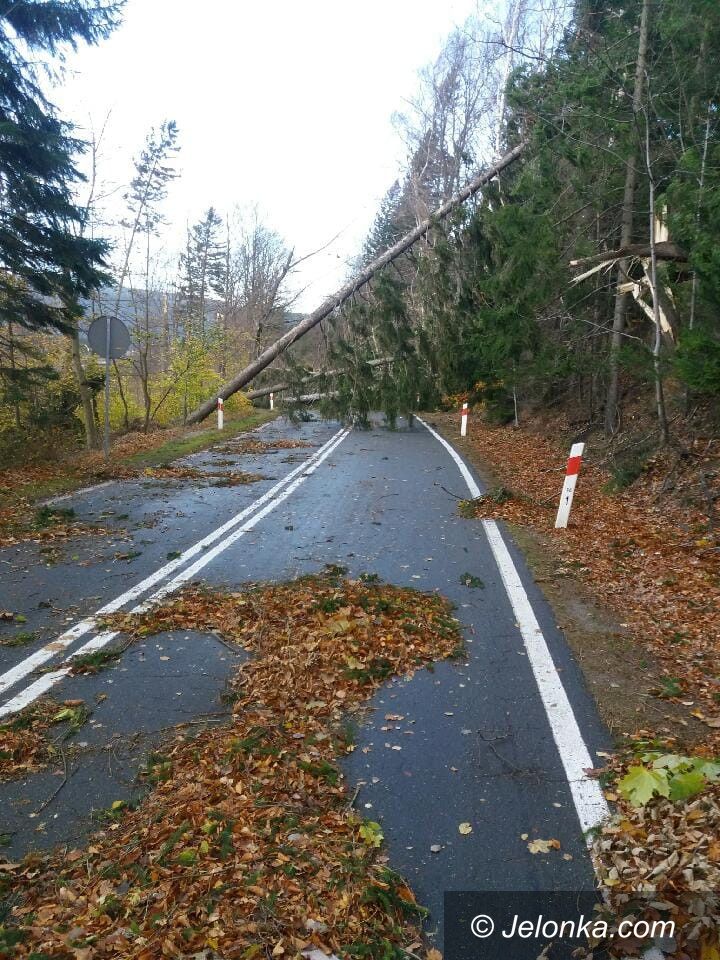 Region: Poważne skutki wichury w regionie