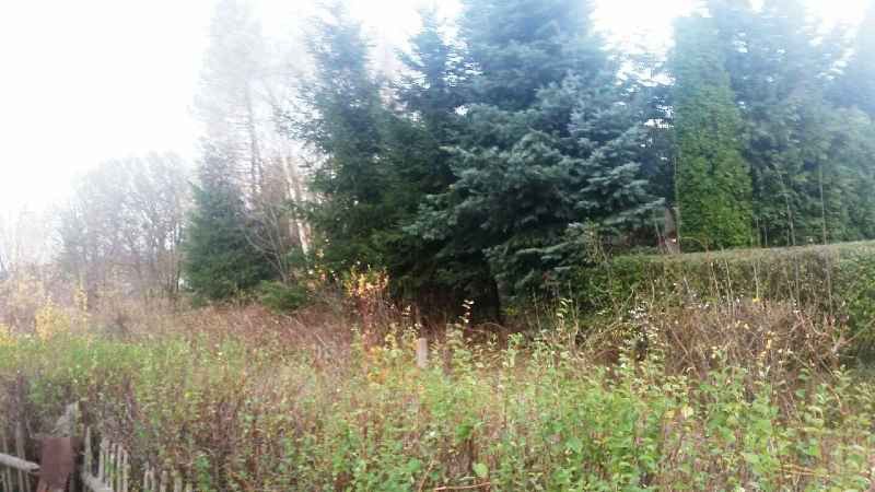 Mysłakowice: Zabójstwo zakończyło gehennę rodziny?