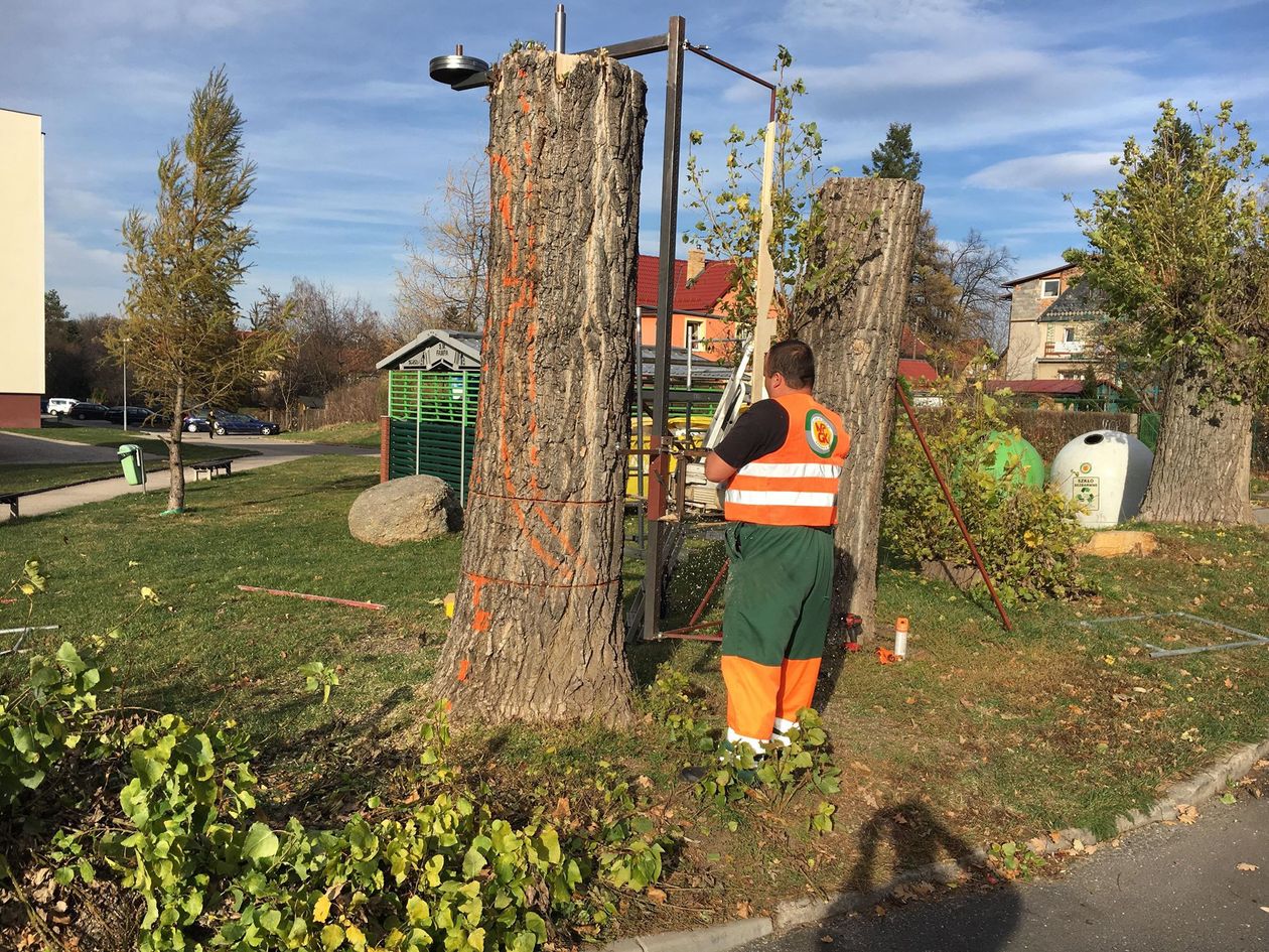 Jelenia Góra: Po skoczku goniec, potem król i wieża