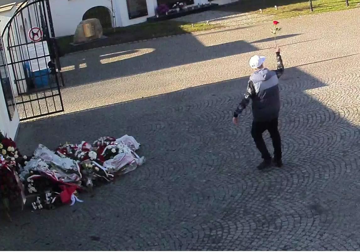 Jelenia Góra: Ukradł różę z wieńca