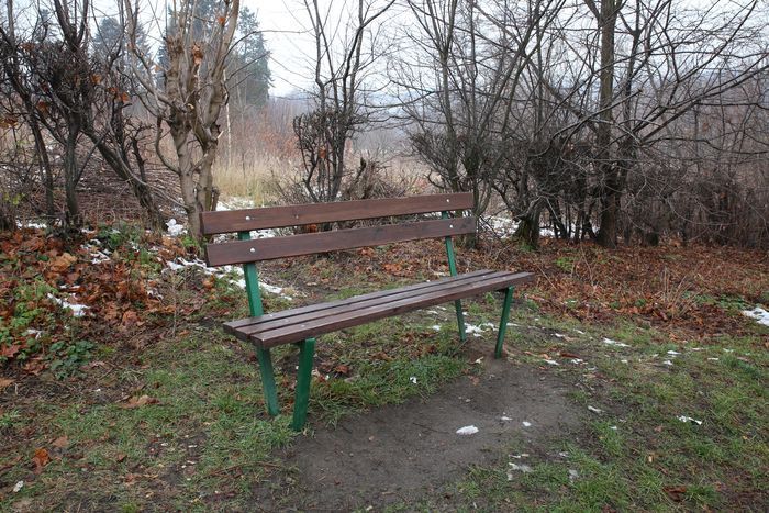 Janowice Wielkie: Rada seniorów działa