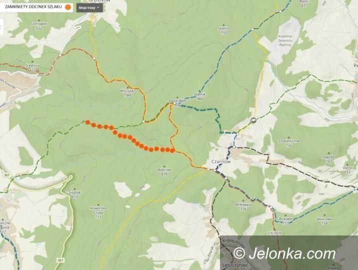 Region: Nadleśnictwo (czasowo) zamknęło szlak