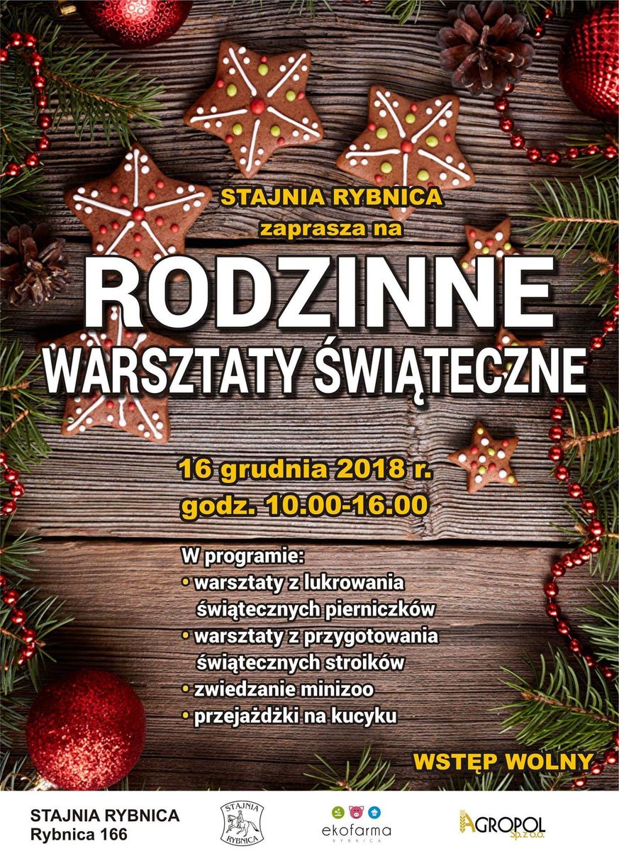 Rybnica: Świąteczne atrakcje w Rybnicy