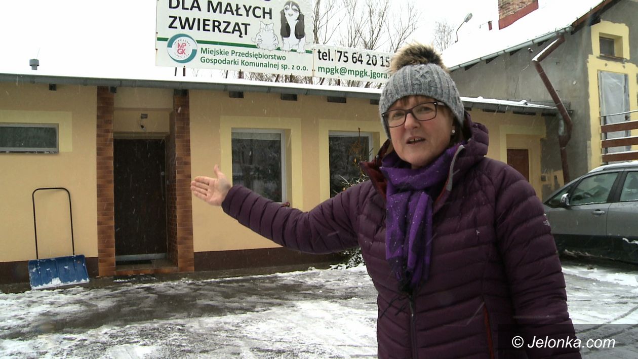 Jelenia Góra: Co słychać w schronisku?