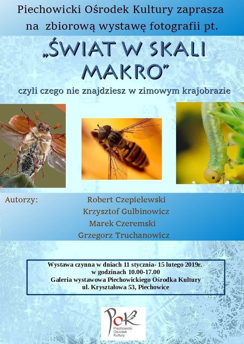 Piechowice: Fotografie w skali makro na wystawie w POK