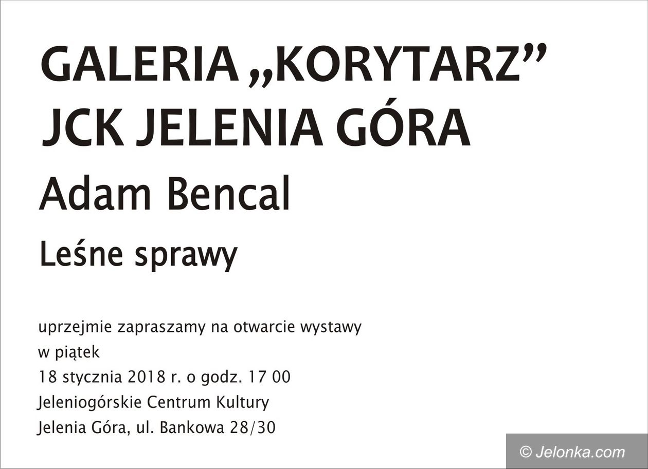 Jelenia Góra: "Leśne sprawy" w Galerii Korytarz