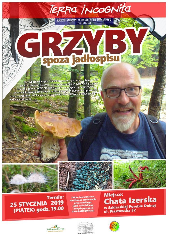 Szklarska Poręba: Terra Incognita o grzybach