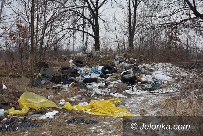Jelenia Góra: Kto podrzuca śmieci?