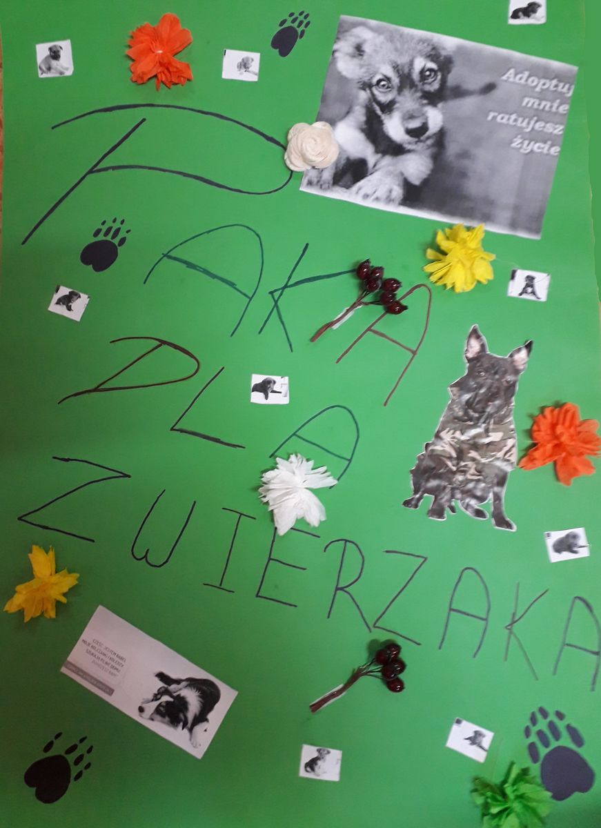 Mysłakowice: Paka dla zwierzaka – pomóż i Ty