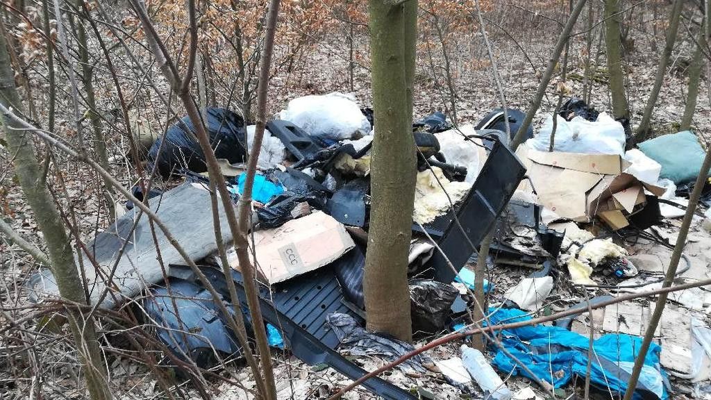 Jelenia Góra: Śmietnik w lesie