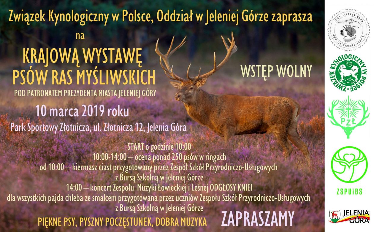 Jelenia Góra: Wystawa psów myśliwskich w niedzielę