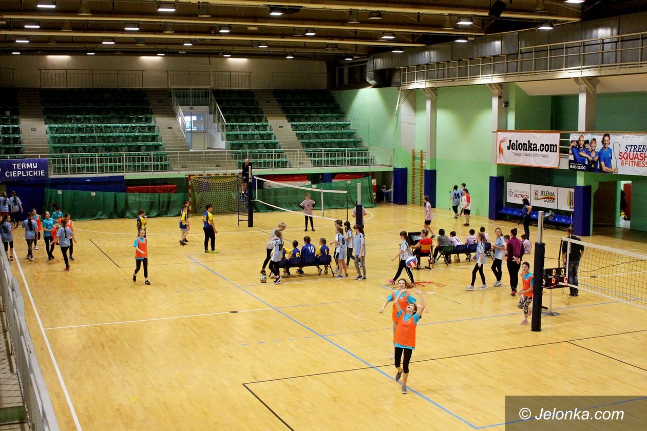 Jelenia Góra: Siatkarskie czwórki dla SP 2 i 11