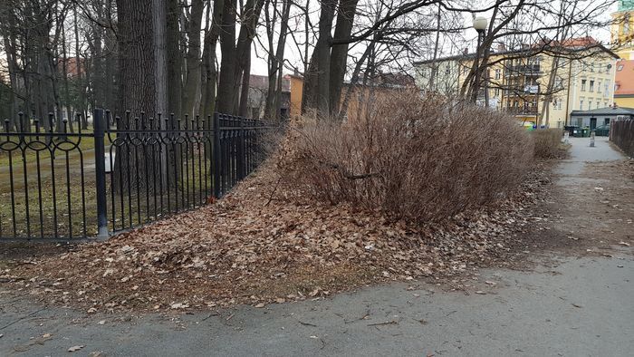 Jelenia Góra: To ziemia niczyja?