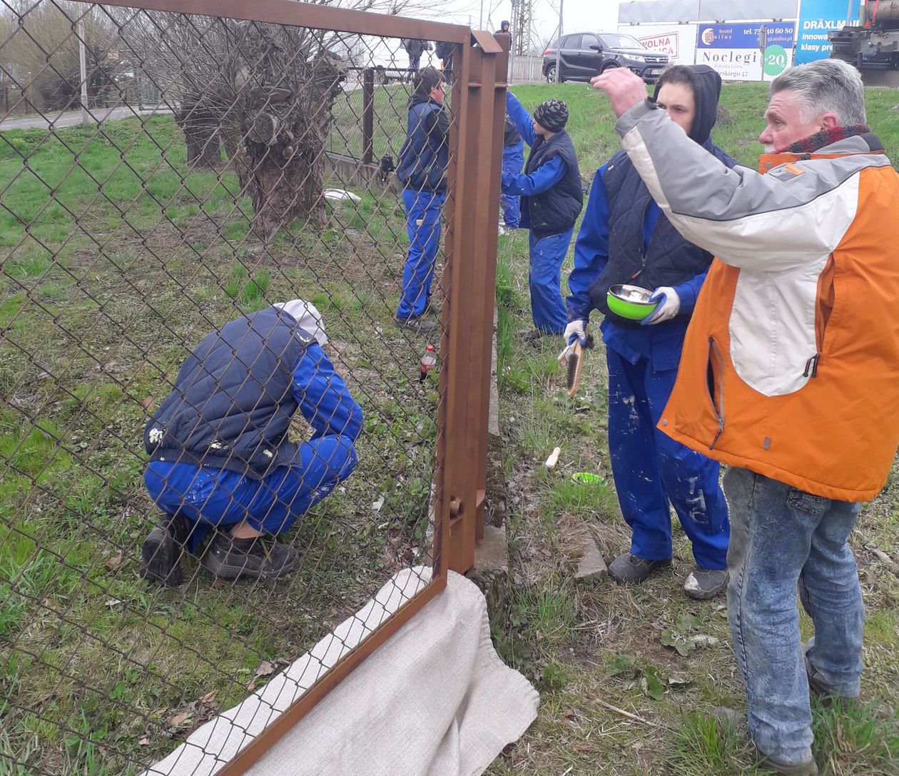 Mysłakowice: Wolontariusze z pomocą zwierzętom