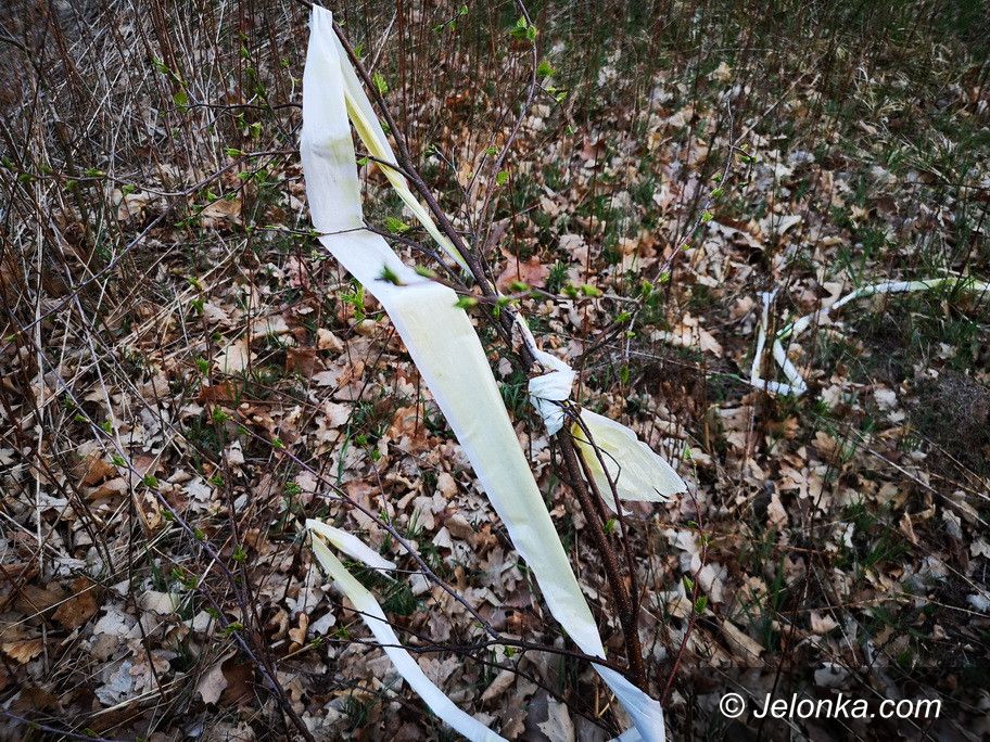 Jelenia Góra: Zapomnieli sprzątnąć?