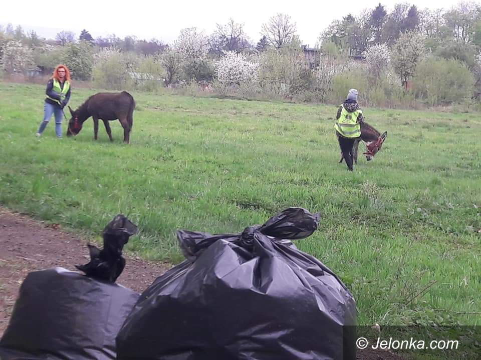 Jelenia Góra: Czyściej przy Kamiennej