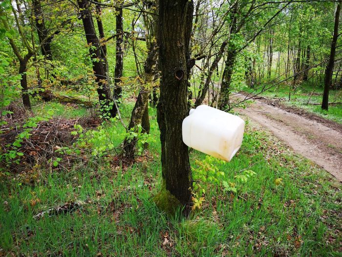 Jelenia Góra: Rajd zdewastował las?