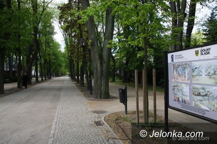 Jelenia Góra: W Cieplicach bez wyborów