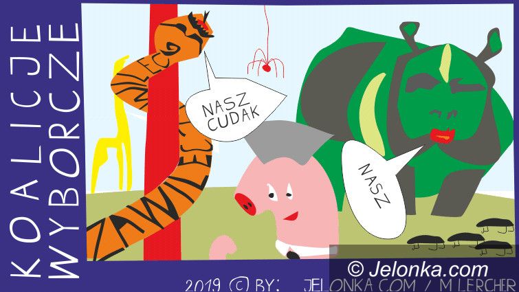 Jelenia Góra: Nasz cudak – czyli... koalicje wyborcze
