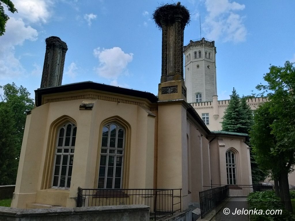 Region: Od pałacu do pałacu