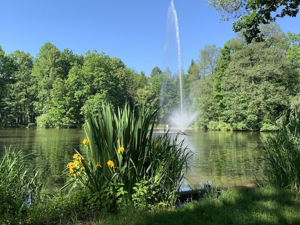 Jelenia Góra: Park piękniejszy w dzień czy w nocy?