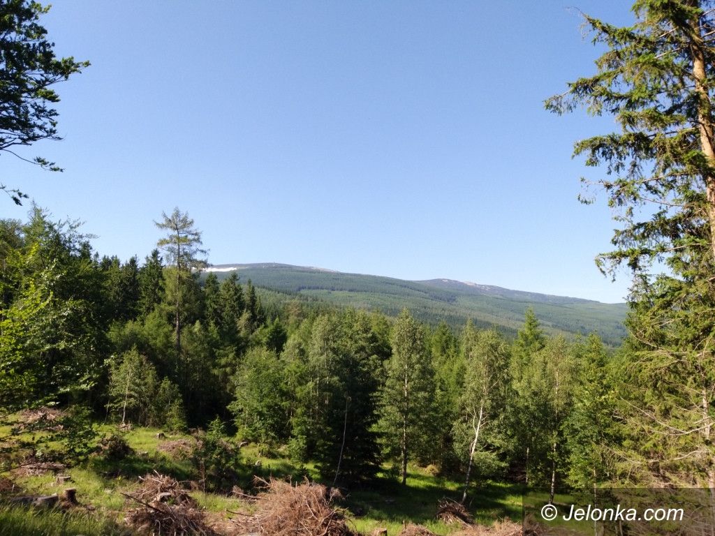 Region: Na Szwedzkie Skały wysiłkiem (nie)małym