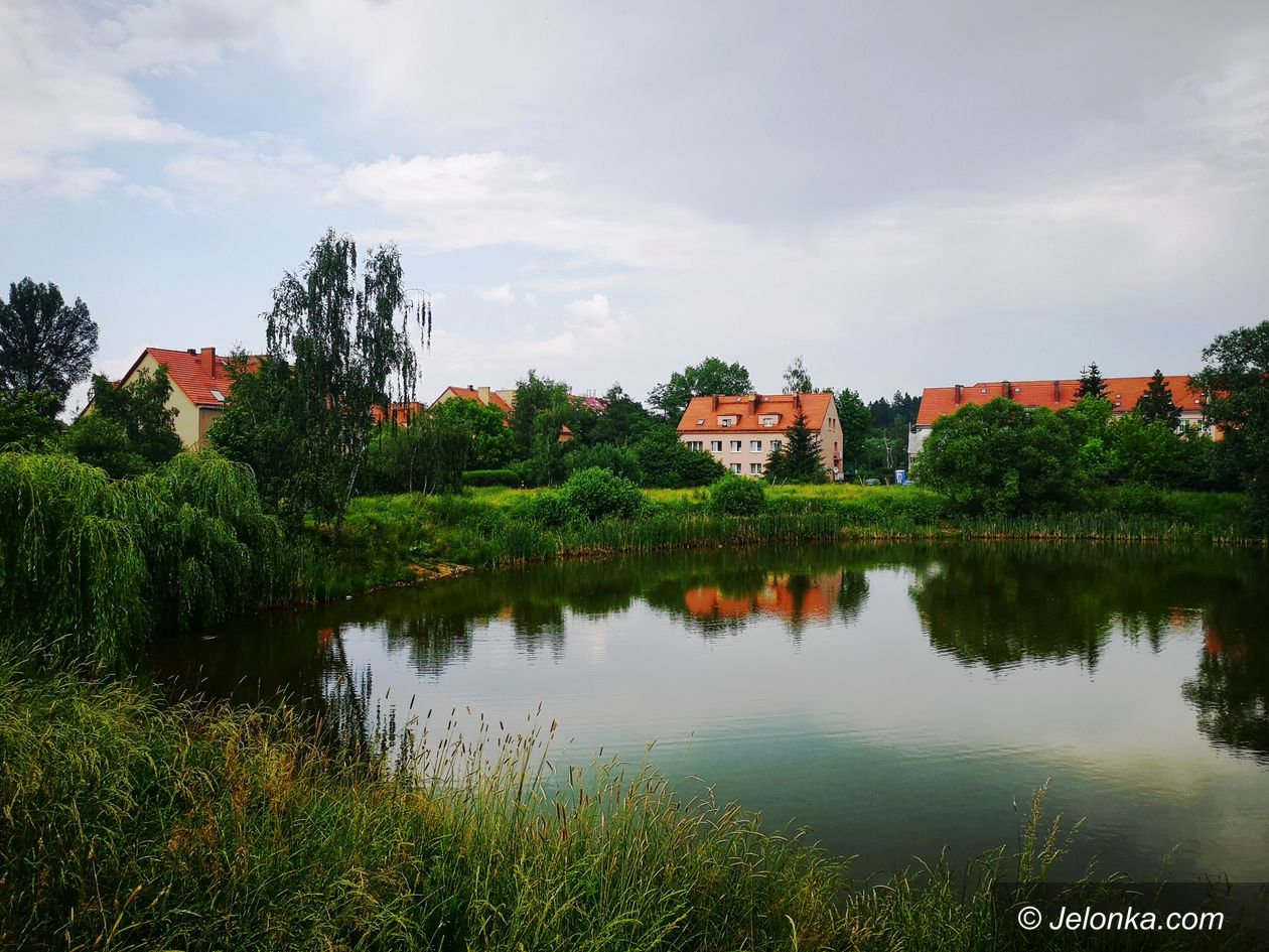 Jelenia Góra: Zagospodarują teren wokół stawu