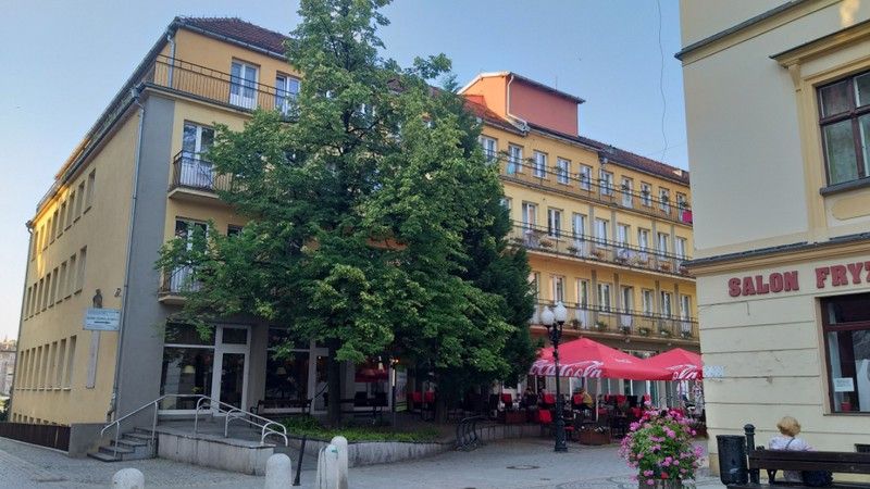 Jelenia Góra: Rój pszczół na Placu Piastowskim