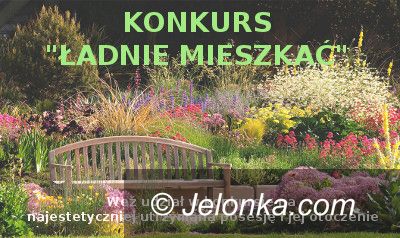 Jelenia Góra: "Ładnie mieszkać" – zgłoś się do konkursu