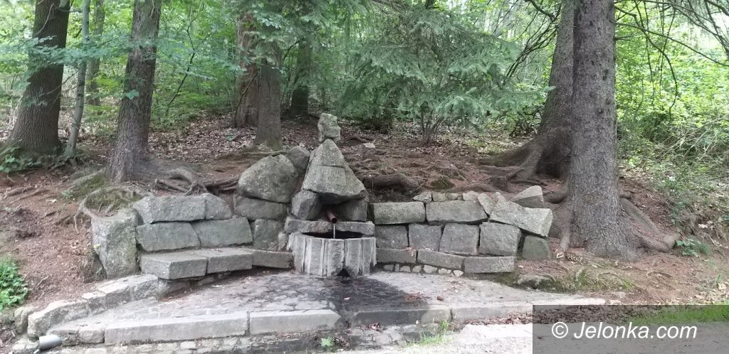 Region: Na Skalnik z Wojkowa – od widoków głowa boli!