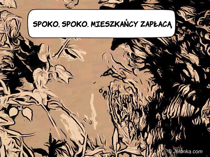 Jelenia Góra: Okiem Górala – nowy cykl - zdjęcie 11