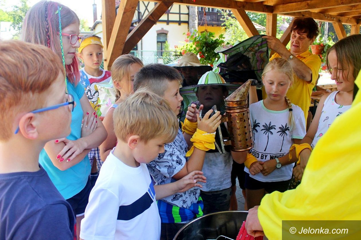 Jelenia Góra: Wielki Dzień Pszczół