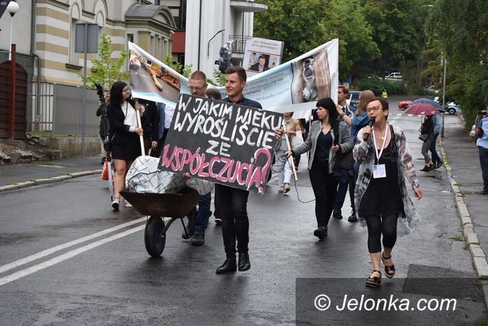 Jelenia Góra: W obronie zwierząt