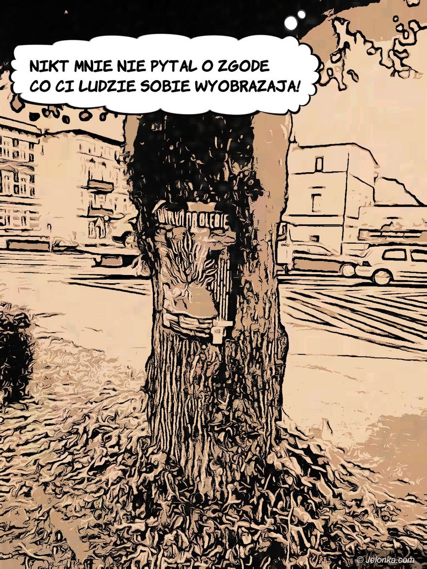 Jelenia Góra: Poniedziałek - zdjęcie 3
