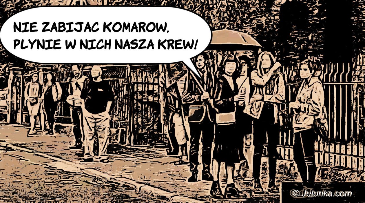 Jelenia Góra: Wtorek