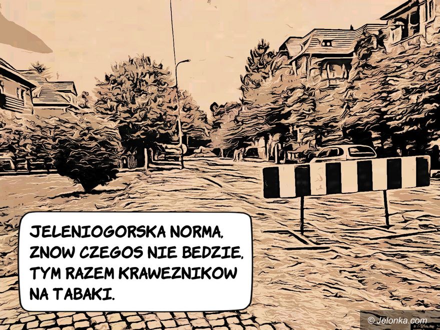 Jelenia Góra: Podsumowanie tygodnia - zdjęcie 4