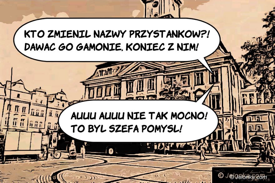Jelenia Góra: Podsumowanie tygodnia - zdjęcie 6
