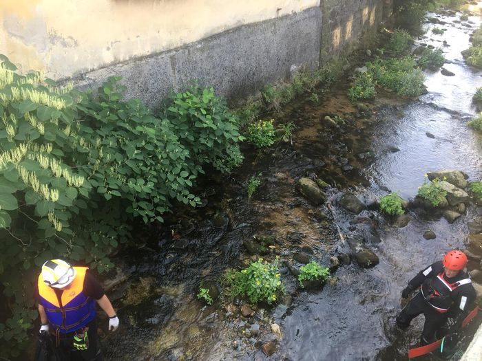 Jelenia Góra: Sprzątali Wrzosówkę
