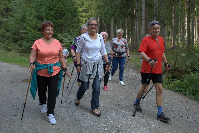 Janowice Wielkie: Seniorzy w akcji