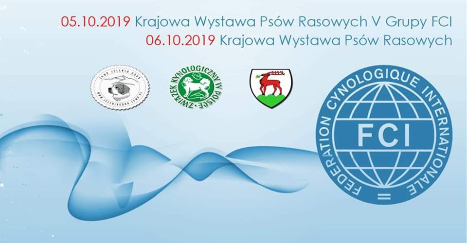 Jelenia Góra: Październikowe wystawy psów