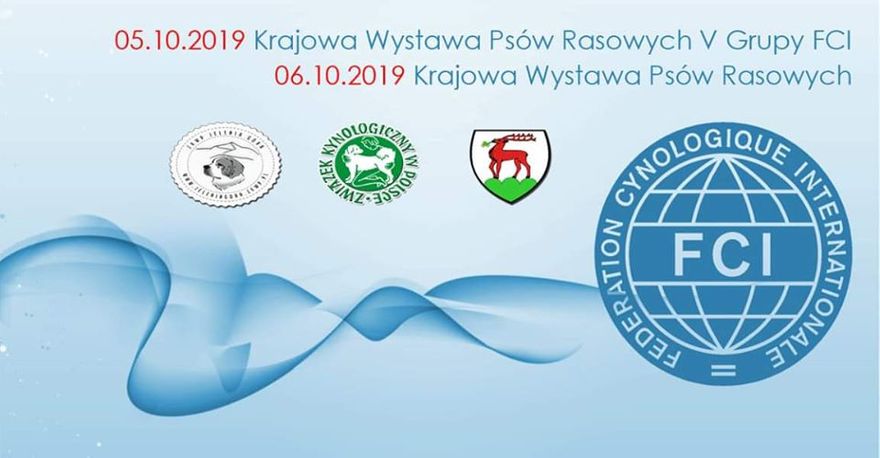 Jelenia Góra: Październikowe wystawy psów
