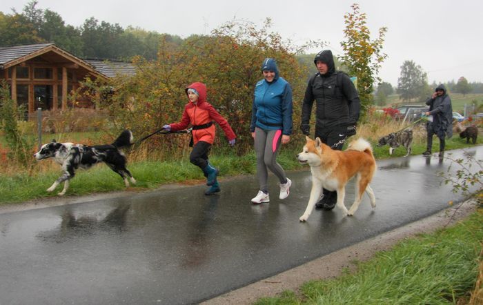 Podgórzyn: Deszczowy dogtrekking