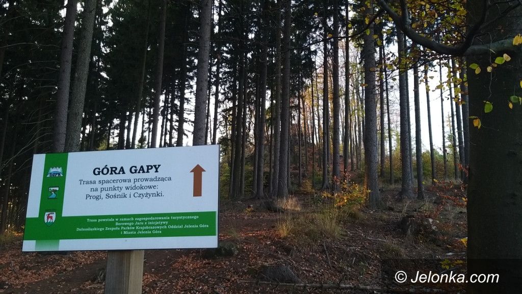 Jelenia Góra: ZaGapisz się!