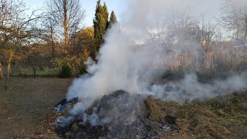 Jelenia Góra: Mandaty za palenie liści (i nie tylko)