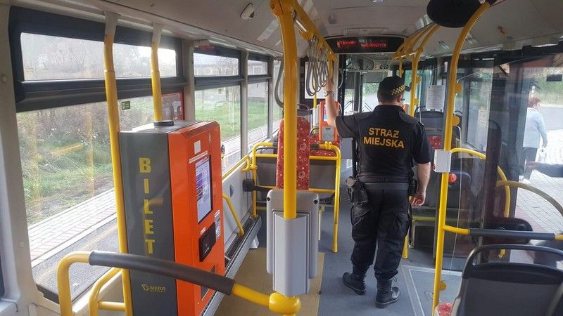 Jelenia Góra: Patrole w MZK