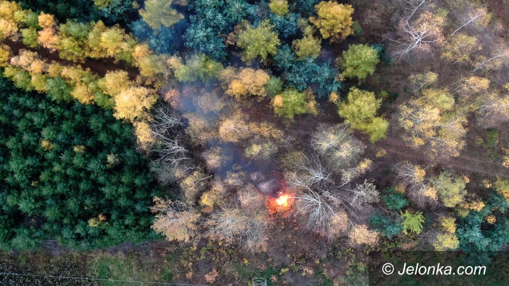 Jelenia Góra: Palą kable – spalą las!