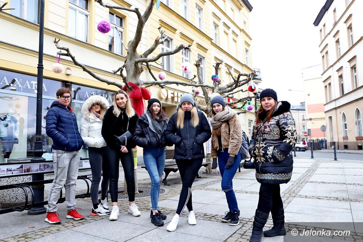 Jelenia Góra: Rzemiosła zdobią drzewa