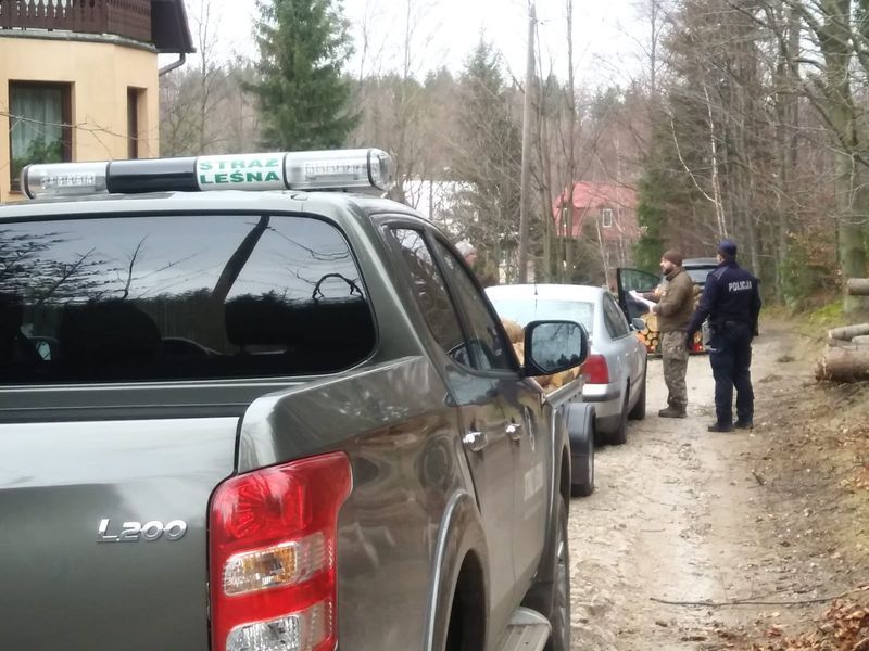 Powiat: Policjanci i strażnicy monitorują lasy